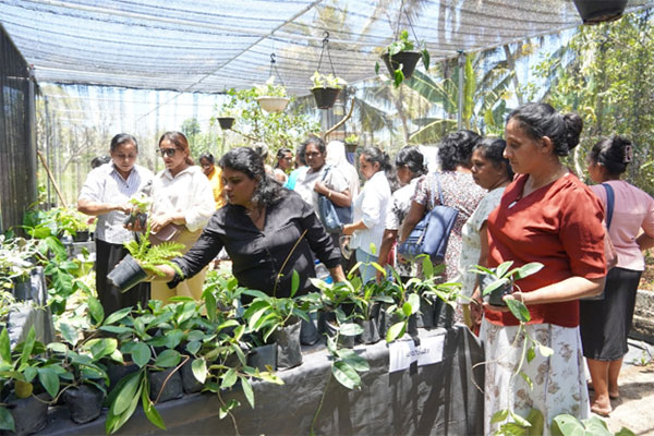 යුක්තිය සහ තිරසර බව යා කිරීම: මානව හිමිකම් උද්දේශනය සමාජ ව්යවසායකත්වයක් බවට පරිවර්තනය කිරීමේ ගමන් මඟ